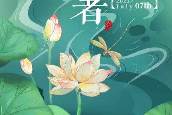 2017年小暑是几月几日星期几