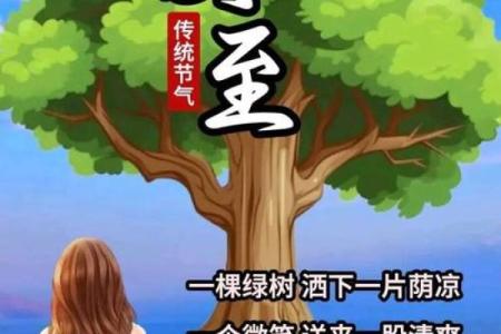 2023年几月几日夏至