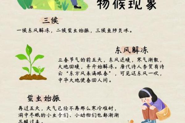 2023立春是几月几日几点