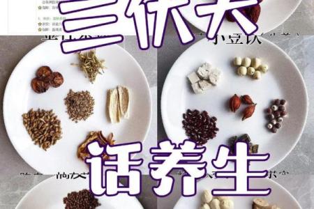 2023年初伏第一天是几月几号