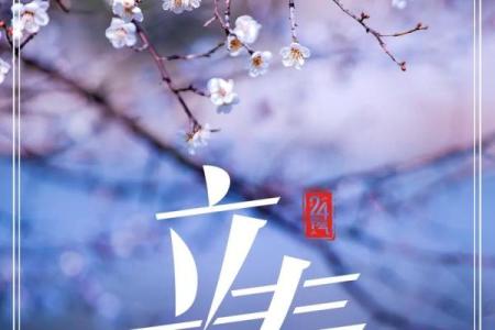 2023立春是几月几日几点