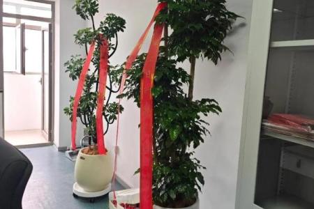 2026年2月份开业最好三个日子