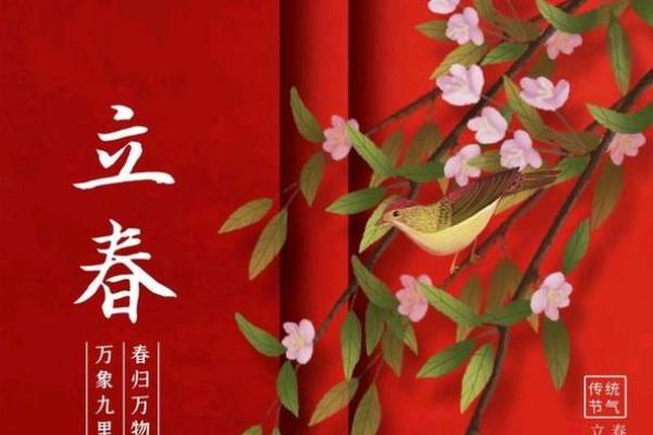 2024立春是几月几日几点立春