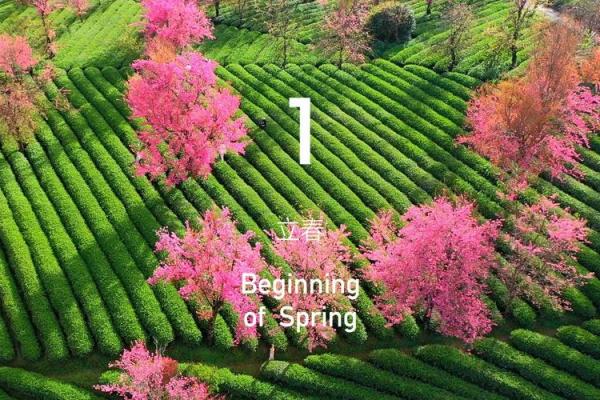 2020年立春是几月几号