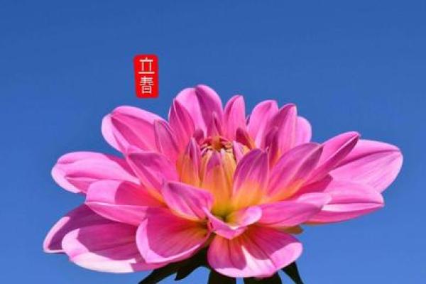 2021年几月打春几点