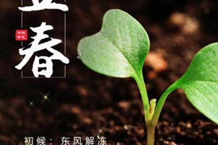 2024年立春是几月几号几点几分