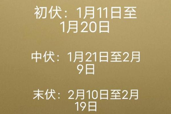 2020入伏是几月几日