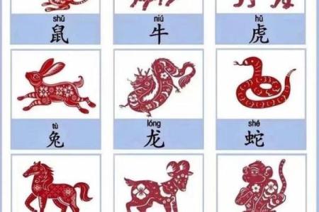 “众矢之的”打一准确动物生肖 众矢之的指什么生肖动物