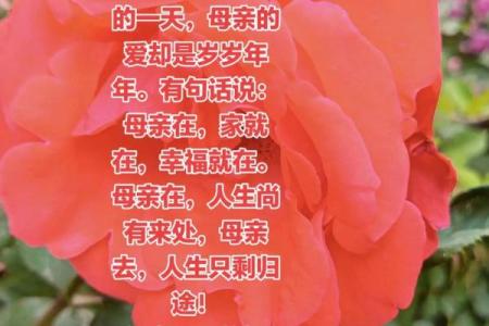 父亲节和母亲节是几月几日