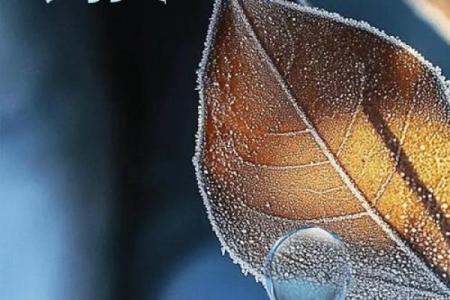 寒露是2022的几月几日