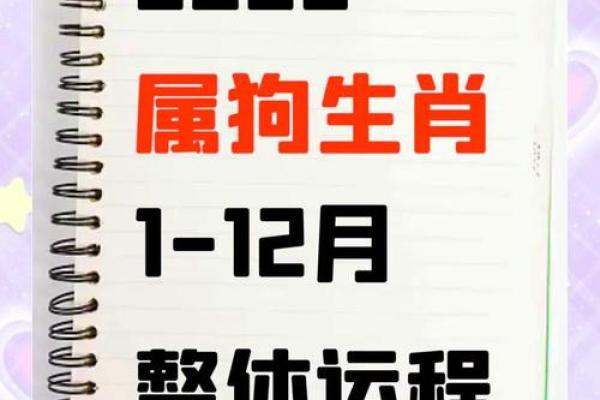 属牛的几月出生最好