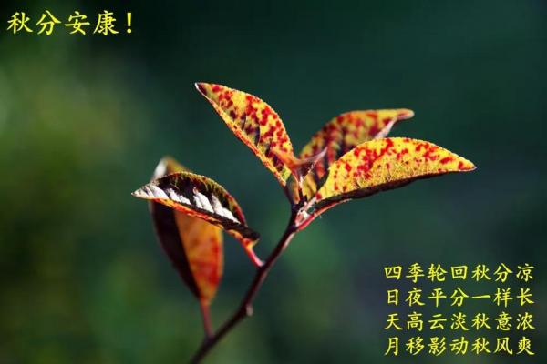 秋分是2024的几月几日