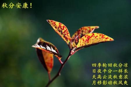 秋分是2024的几月几日