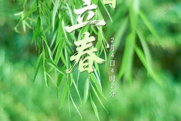 什么时候立春2024年的几月份立春 什么时候立春2024年的几月份立春