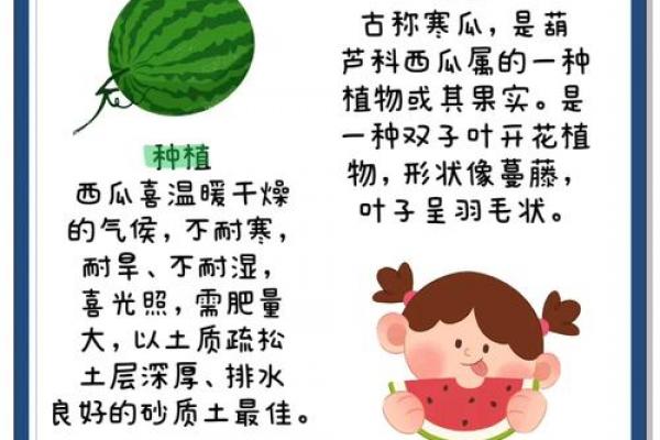 立秋吃西瓜的说法 立秋吃西瓜有什么寓意
