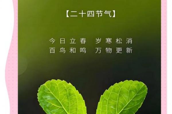 今天立春是什么时间2024年几点 2024年立春是几月几号几点