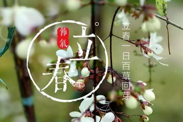 立春祝福语简短一句话 立春祝福语10字以内