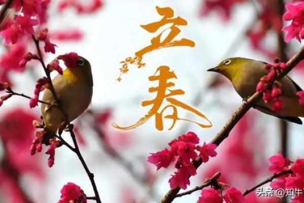 立春为什么不能回娘家 立春禁忌回娘家原因