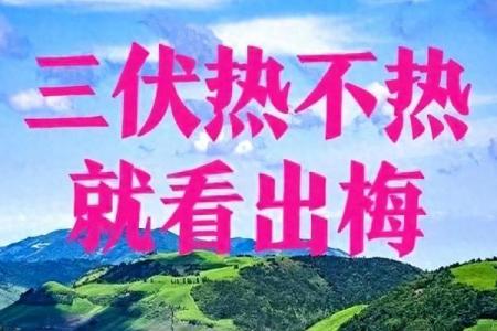 出梅是几月几号2024年 2024年出梅具体日期