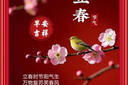 2月4号立春几点几分立春 立春几点几分适合出行