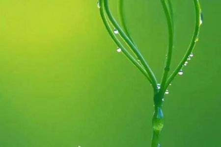 几点立春2024 2024年立春是几点几分