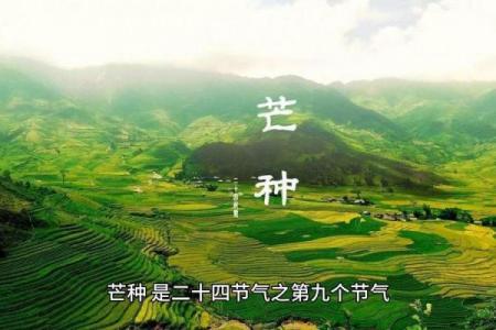 芒种是几月几日2024 芒种节气是哪一天2024