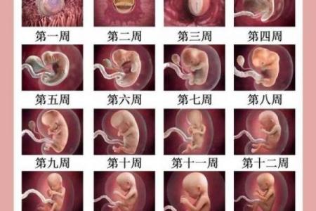 2026年9月剖腹产黄道吉日，准爸妈必看最新宜忌指南
