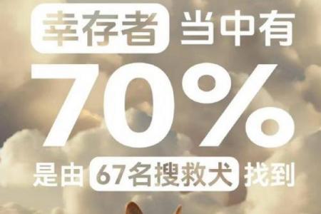 512什么节日 5月12日节日意义