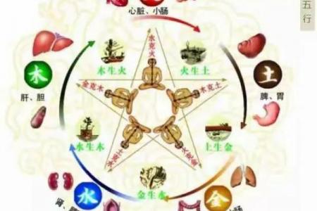 立春出生的虎宝宝好不好 虎年立春出生五行查询