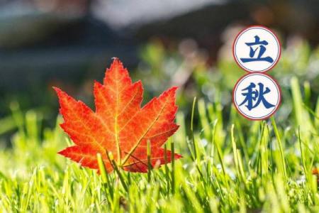 2019立秋时间几点 立秋节气准确时间查询