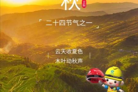 立秋是几月几日2023 立秋节气2023年日期