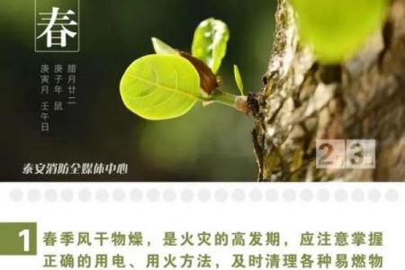 打春是几月几日2022几点几分 今年立春是几月几号几点