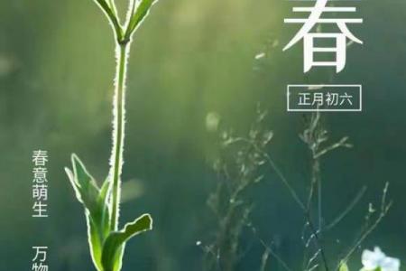 2020年有两个立春 双春年搬家注意事项