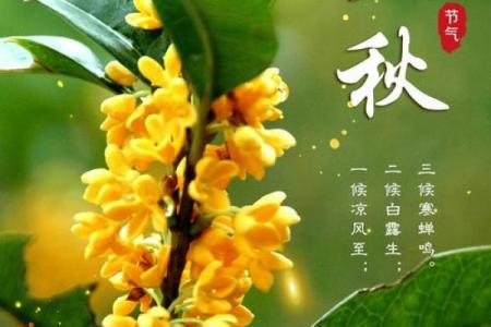 2022年几点几分立秋 今年立秋是几点几分