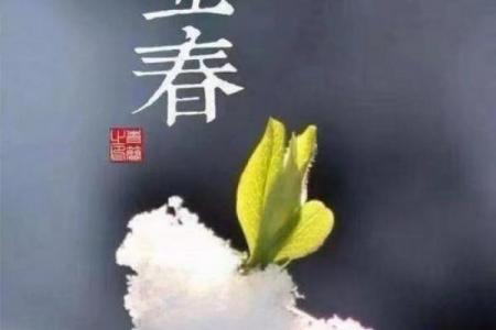 几点立春2023 2023年立春是几点几分