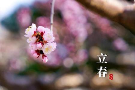 2019年哪天立春几点 2019年立春是几月几号几点几分