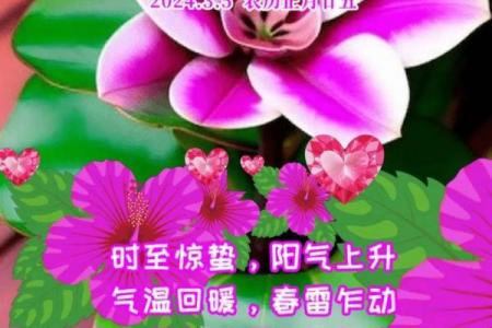 2022年惊蛰是几月几号 惊蛰节气是哪一天2022