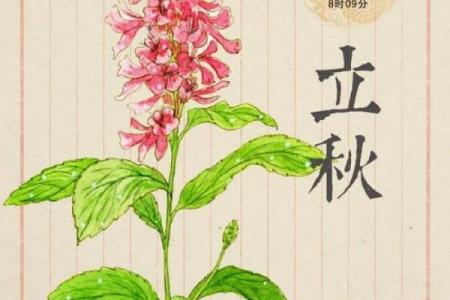 2024年立秋是几点几分几秒 立秋节气几点开始2024