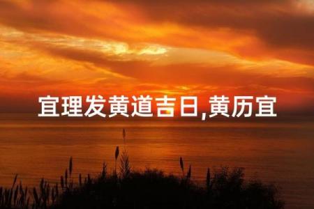 10月剃头吉日推荐，这三个日子最适合理发