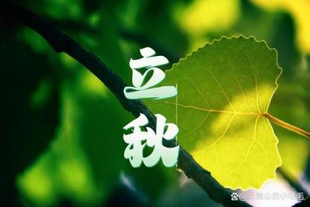 2019年立秋是几时 2019年立秋是哪一天