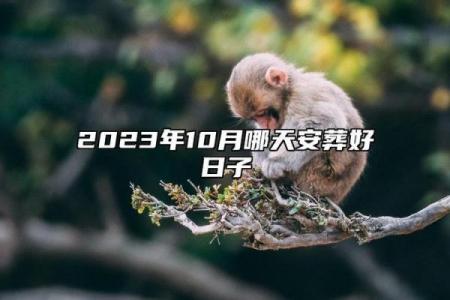 4月挂匾最吉利的三个日子，2025年黄道吉日速查