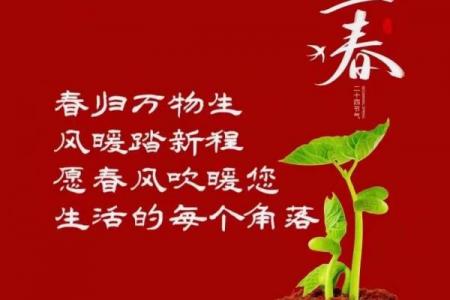 2023年两个立春时间分别是 今年两个立春是哪两天