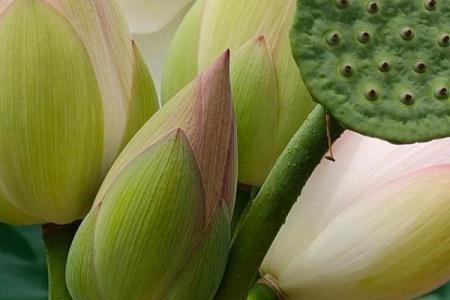 2018年什么时候立秋 2018年立秋是几月几号