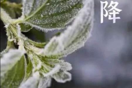 霜降是几月几号 霜降是农历哪一天