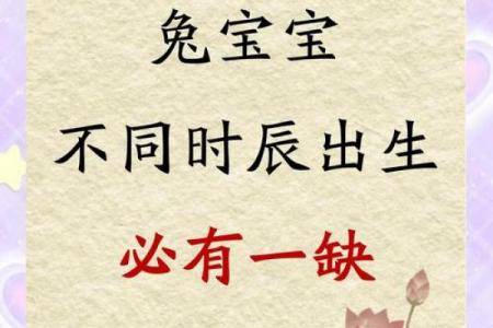 属马的2023年生兔宝宝好吗 属马父母生兔宝宝相冲吗