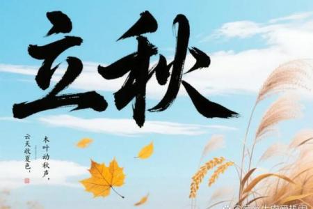 2023年几点立秋 今年立秋是几点几分