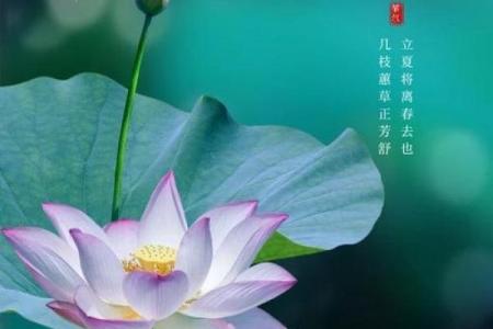 今年立夏是几月几日 2024年立夏是哪一天