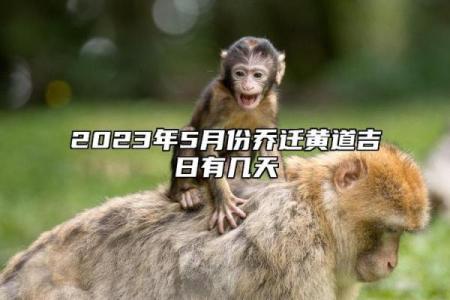 2028年11月理发入宅最好吉日 2028年11月理发黄道吉日查询