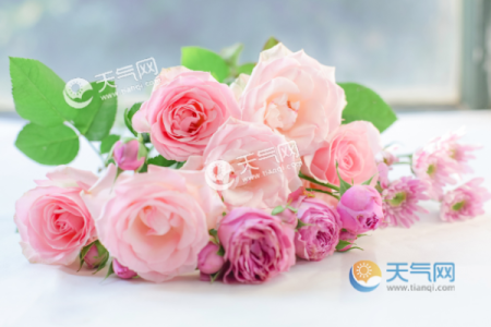 情人节是几号