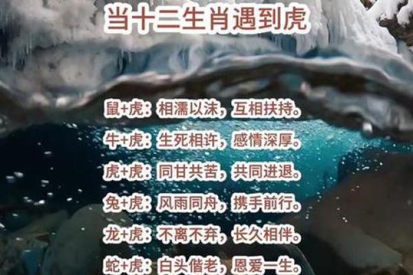 热议：属虎人提车的黄道吉日